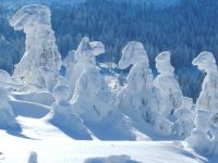 52 de lustigen Zwercheckmandln ft_c